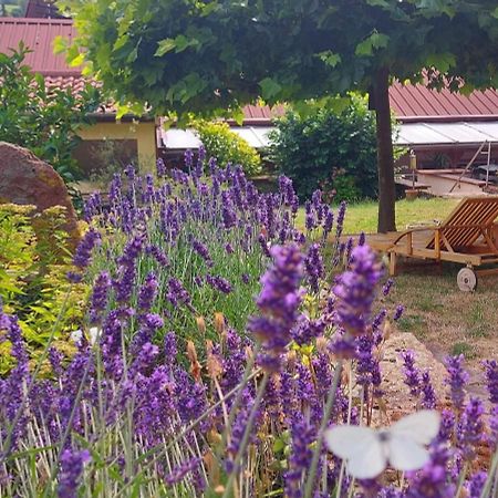 Ferienwohnung Gästehaus Röhm Ilbesheim bei Landau in der Pfalz Exterior foto